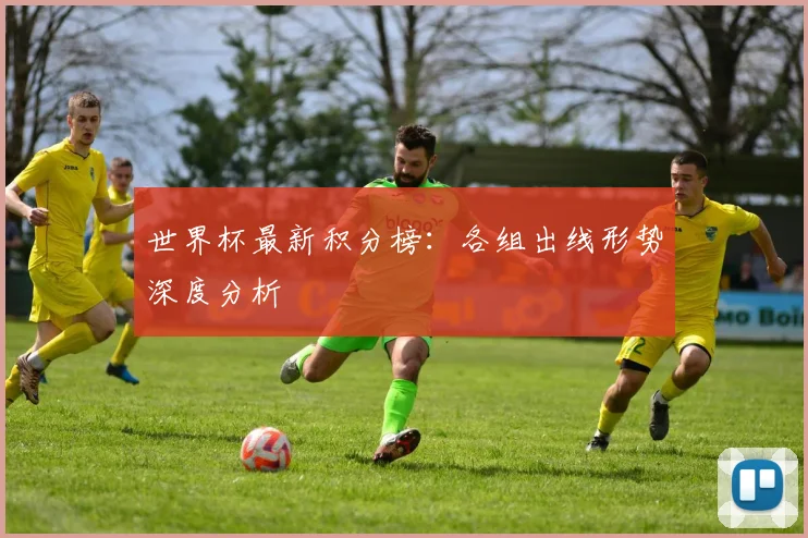 世界杯最新积分榜：各组出线形势深度分析